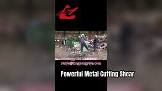 Cisaille crocodile Q43-2500